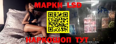 гидропоника Славянск-на-Кубани
