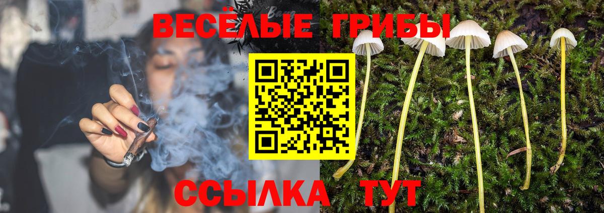 Галлюциногенные грибы Cubensis  Псилоцибиновые грибы мицелий  Оренбург  Вход с VPN 